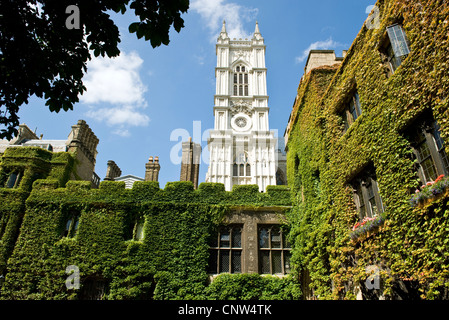 Europa-England-London, Kreuzgang die Westminster abbey Stockfoto