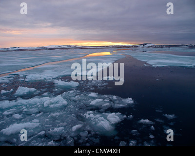 Eisschollen und Treibeis auf Lady Franklinfjorden, Norwegen, Spitzbergen Stockfoto