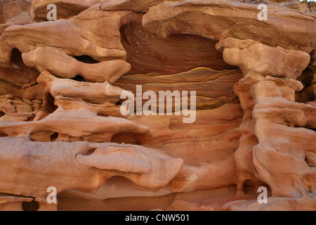 Sandstein-Formationen in Colored Canyon, Ägypten, Sinai Stockfoto