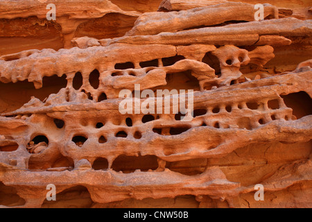 Sandstein-Formationen in Colored Canyon, Ägypten, Sinai Stockfoto