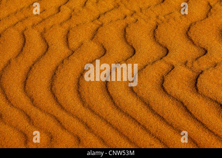 Strukturen im Sand, Namibia, Sossusvlei, Namib Naukluft Nationalpark Stockfoto