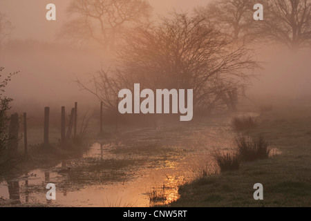 Sonnenaufgang über dem Moor Wiese im Morgennebel, Deutschland Stockfoto