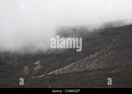 Wolken über Vulkanlandschaft auf den Ätna, Italien, Sizilien Stockfoto