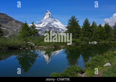Matterhorn, See Grindji, Grindjisee im Vordergrund, Schweiz, Wallis Stockfoto