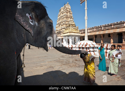 Elefant Segen einer Frau. Virupaksha Tempel. Hampi. Indien Stockfoto