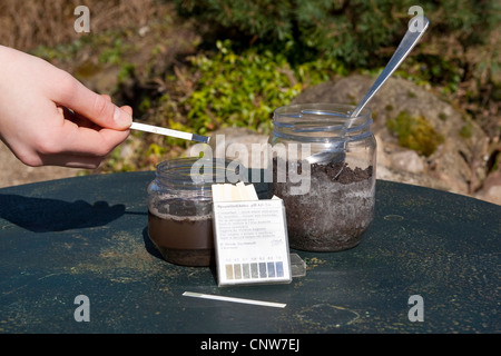 pH Wert einer Probe des Bodens ist getestet mit Lackmuspapier, Deutschland Stockfoto