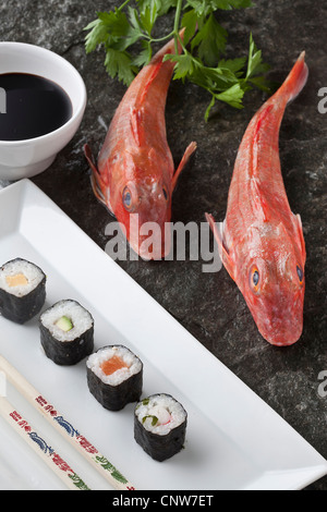 Platte mit Wanne Knurrhahn Fisch mit sushi Stockfoto