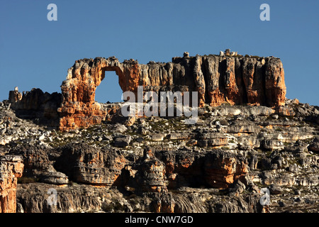 Felsformation in der Cederbergs am Wolfsberg Arch Wanderung, Südafrika, Western Cape, Cederberg Wilderness Area Stockfoto