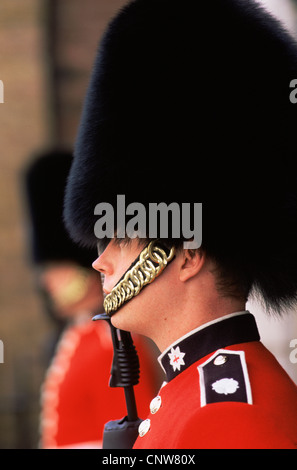 England, London, Guard der St.James Palace Stockfoto