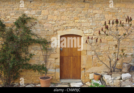 Holztüren in alten französischen Stein Scheunen in Südfrankreich Stockfoto