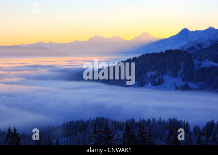 Morgen-Blick vom Gurnigel in den Voralpen auf Schreck-(4078 m), Eiger (3974 m) und Mönch (4099 m) in den Berner Alpen, Schweiz Stockfoto