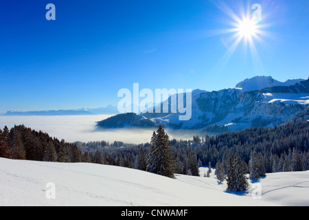 Blick vom Gurnigel in den Voralpen auf Chrumfadeflue in den Berner Alpen, Schweiz Stockfoto