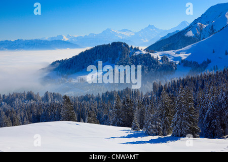 Blick auf die Berner Alpen vom Gurnigel in den Voralpen, Schweiz Stockfoto
