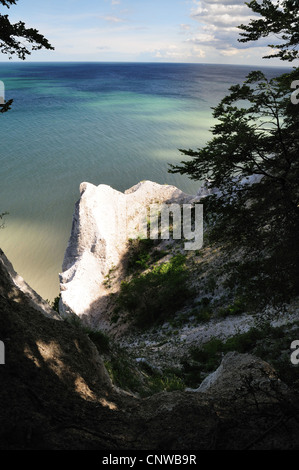 Moens Klint Kreidefelsen, Dänemark, Moen Moens Klint Stockfoto