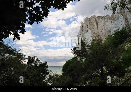 Moens Klint Kreidefelsen, Dänemark, Moen Moens Klint Stockfoto