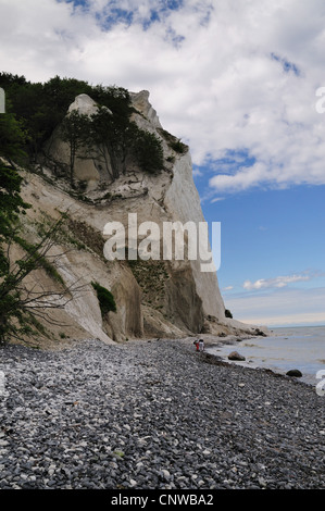 Moens Klint Kreidefelsen, Dänemark, Moen Moens Klint Stockfoto