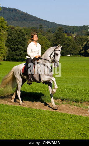 junge Frau reitet auf weißem Pferd, Deutschland, Baden-Württemberg Stockfoto