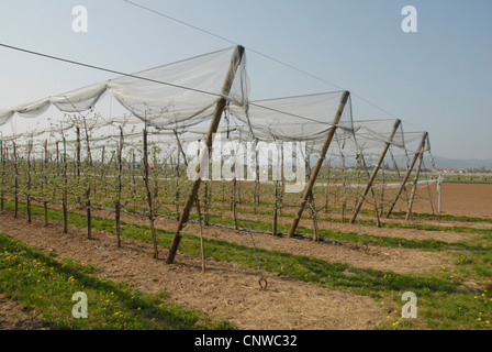 Singles landwirtschaft rheinland-pfalz