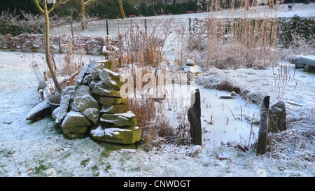 Garten-Teich eingefroren Stockfoto