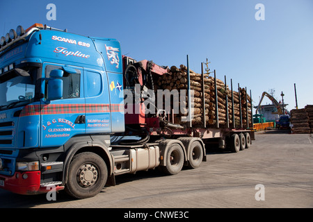 Protokollierungsbranche. Frisches Holz laden. Trockene Masse. Auf Frachtschiff Montrose Port UK Stockfoto