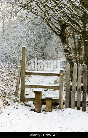 Stil und Pfad im Schnee. Surrey, UK Stockfoto