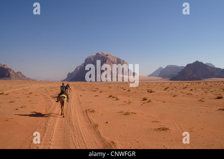 Baktrischen, zwei bucklig Kamel (Camelus Bactrianus), Kamel Kamelritt durch die Wüste Wadi Rum, Jordanien Stockfoto