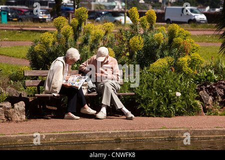 Großbritannien, England, Devon, Torquay, Könige Gärten, älteres Ehepaar Zeitungslektüre bei Sonnenschein Stockfoto