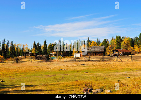 Hütten im Chilcotin Country zwischen Williams Lake und Küstengebirge, Kanada, British Columbia, Bella Coola Stockfoto