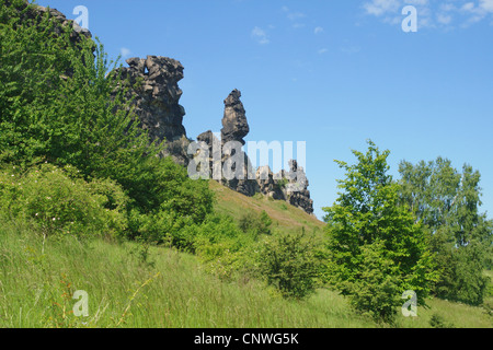 Felsnadeln der Teufelsmauer, Deutschland, Sachsen-Anhalt, Harz Stockfoto