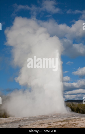 Ausbruch des Old Faithful Geysir, USA, Wyoming, Yellowstone-Nationalpark Stockfoto