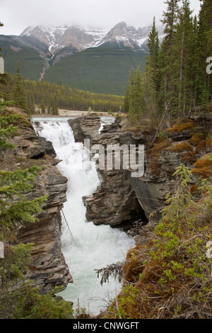 Athabasca Falls, Kanada, Alberta, Jasper-Nationalpark Stockfoto