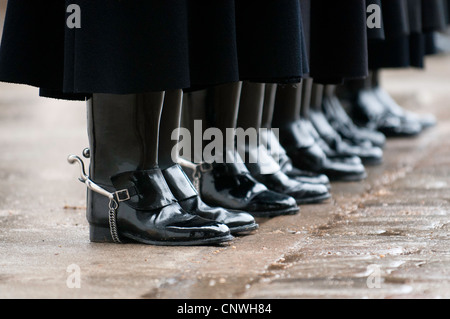 Königinnenwache, Household Cavalry Stockfoto