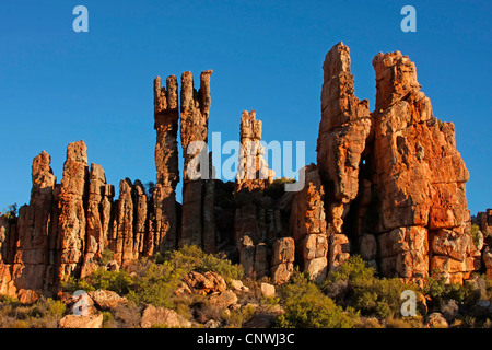 Bizarre Felsformation "Lots Frau wandern" an die Cederberge, Südafrika, Western Cape, Cederberg Wilderness Area Stockfoto