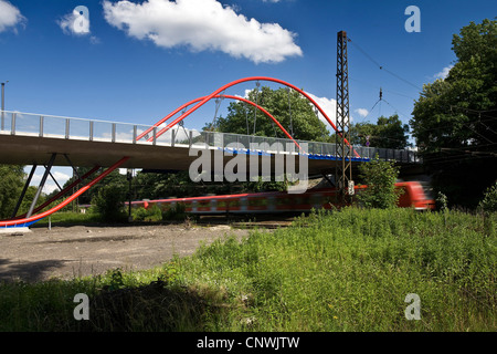 Industrienatur in Gleispar Frintrop mit Zug und neue Eisenbahnbrücke, Essen, Ruhrgebiet, Nordrhein-Westfalen, Deutschland Stockfoto