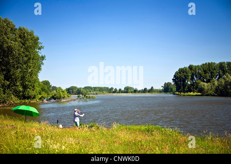 Angler im Floodplan bei einem Stream Altrhein am Bislicher Insel im Niederrhein, Deutschland, North Rhine-Westphalia, Bislicher Stockfoto