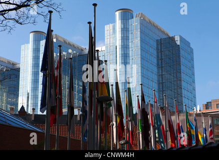 Flaggen der Mitgliedstaaten der Europäischen Union vor dem Europäischen Parlament in Brüssel, Belgien. Stockfoto