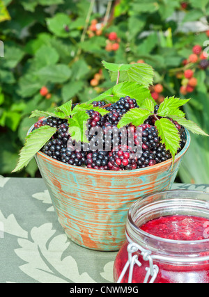 Eine Schüssel mit frisch gepflückten Brombeeren neben ein Glas frisch zubereiteten Brombeermarmelade Stockfoto