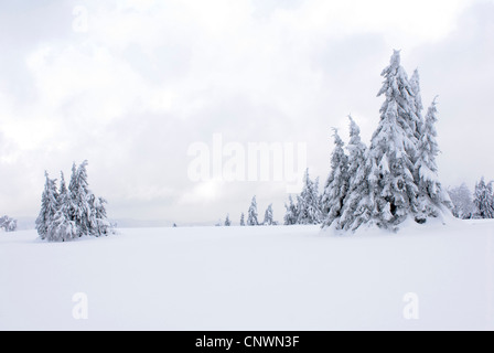 Winterlandschaft im Sauerland, Deutschland, Nordrhein-Westfalen, Sauerland Stockfoto