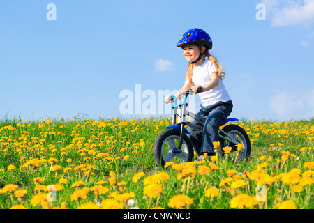 gemeinsamen Löwenzahn (Taraxacum Officinale), kleine Mädchen reitet auf einem Training Fahrrad auf einem Weg durch ein Löwenzahn Wiese Stockfoto