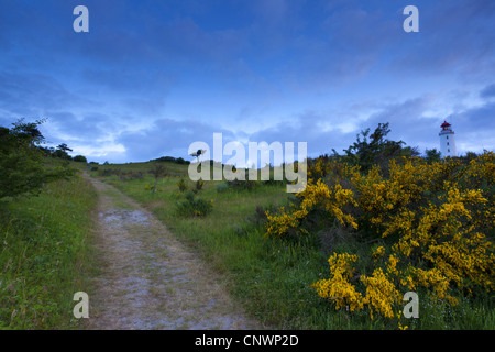 Sonnenaufgang über die Dünen und Lighhouse Hiddensee, Deutschland, Mecklenburg-Vorpommern, Hiddensee Stockfoto