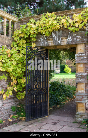 Hestercombe Gärten, United Kingdom, England, Somerset Stockfoto