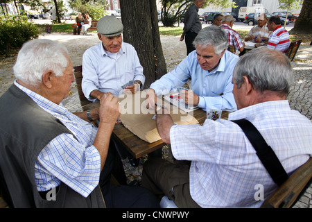 Kartenspiel, Praça Principe Real Garten, Bairro Alto, Lissabon, Portugal Stockfoto