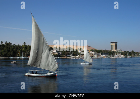 Feluken, die traditionelle ägyptische Segelboote auf dem Nil in Assuan, Ägypten. Stockfoto
