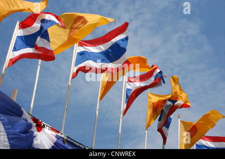 Thai Nationalflaggen und buddhistischen Fahnen vor der Wat Na Phra Mane in Ayutthaya, Thailand. Stockfoto