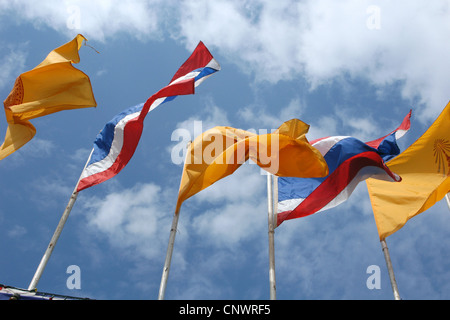 Thai Nationalflaggen und buddhistischen Fahnen vor der Wat Na Phra Mane in Ayutthaya, Thailand. Stockfoto