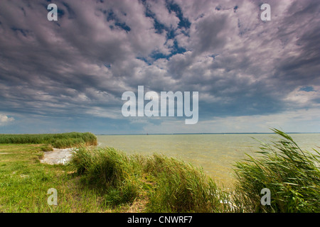 See Roeddelin in der Nähe von Templin, Deutschland, Brandenburg, Vogtlaendische Schweiz, Templin Stockfoto