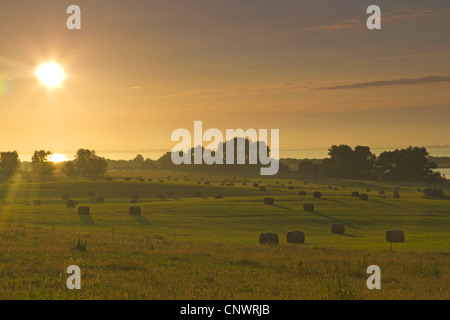 Sonnenaufgang auf Hiddensee, Deutschland, Mecklenburg-Vorpommern, Hiddensee Stockfoto