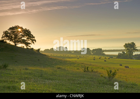 Sonnenaufgang auf Hiddensee, Deutschland, Mecklenburg-Vorpommern, Hiddensee Stockfoto