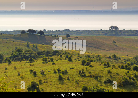 Sonnenaufgang auf Hiddensee, Deutschland, Mecklenburg-Vorpommern, Hiddensee Stockfoto