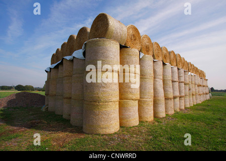 Heuballen, Versorgung für den Winter, Deutschland Stockfoto